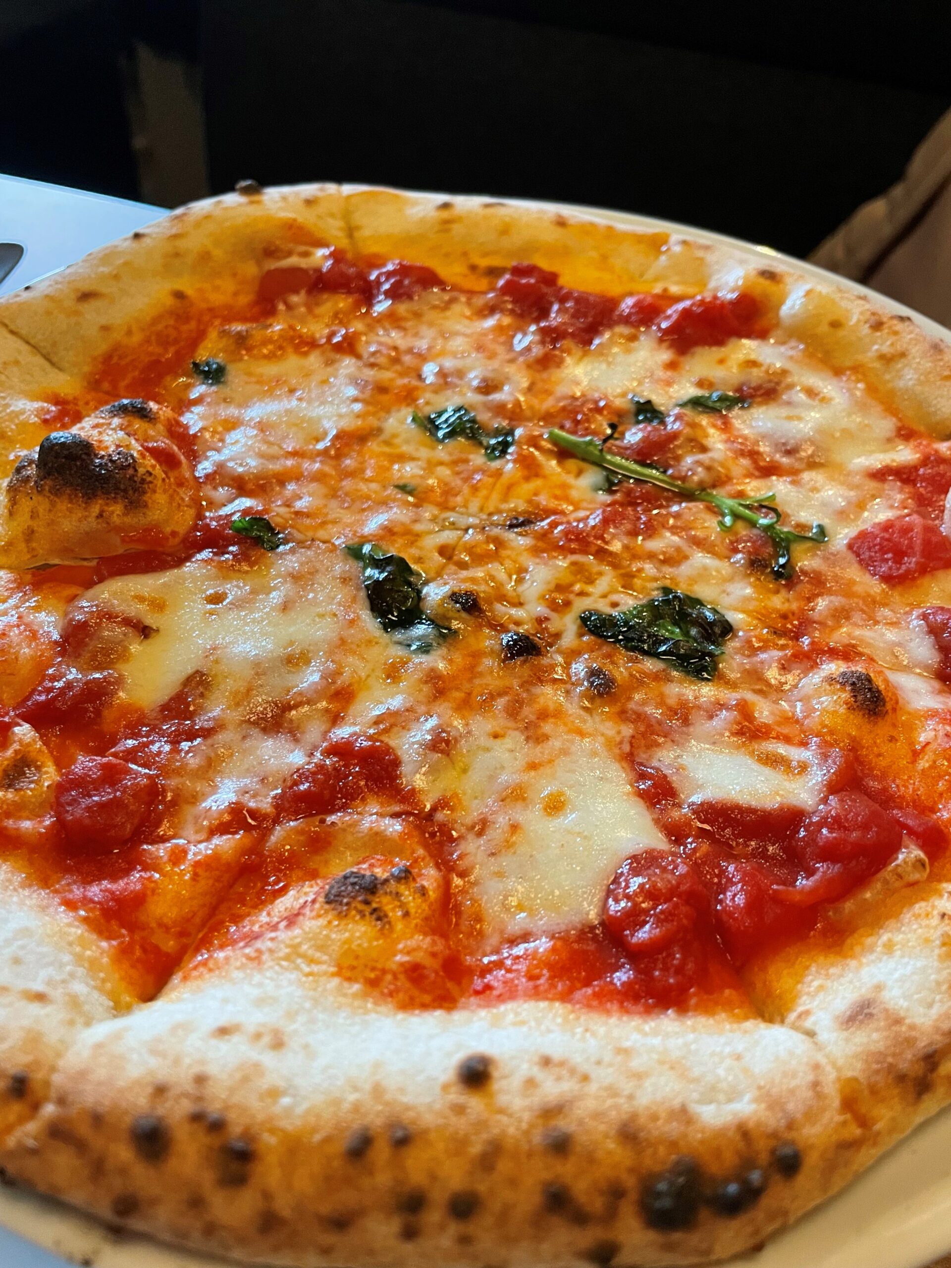 飯トレ🍕